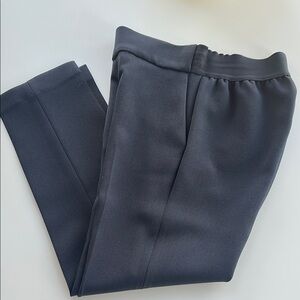 Aritzia Navy Ankle Pants